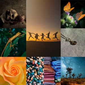 Upper left: skull on mat with burnt-looking fruit
Upper middle: five figures dancing on the desert sand at sunset
Upper right: orange butterflies resting on desert flowers
Middle left: yellow gecko perched on green plant
Middle right: gold necklace laid out on grayish fabric
Lower left: orange rose
Lower left middle: multi-colored stones
Lower right middle: stacks of colorful scarves
Lower right: starry night in the desert with bushy trees
